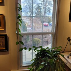 Gallery 1 Acadia-action-coach compression window